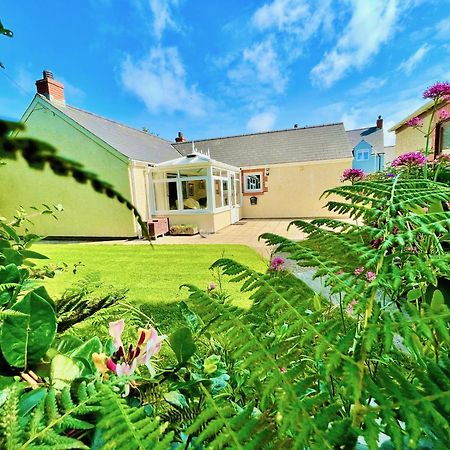 Cosy Cottage - Whitchurch, Solva Exterior foto